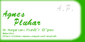 agnes pluhar business card